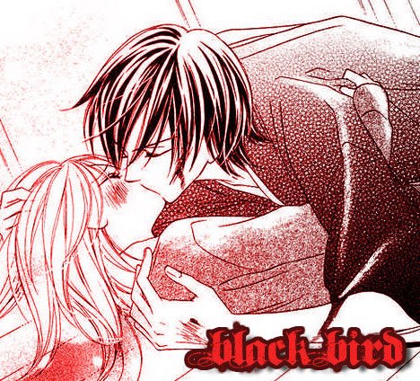Black Bird - Your Gimmick - Shoujo Manga Reviews